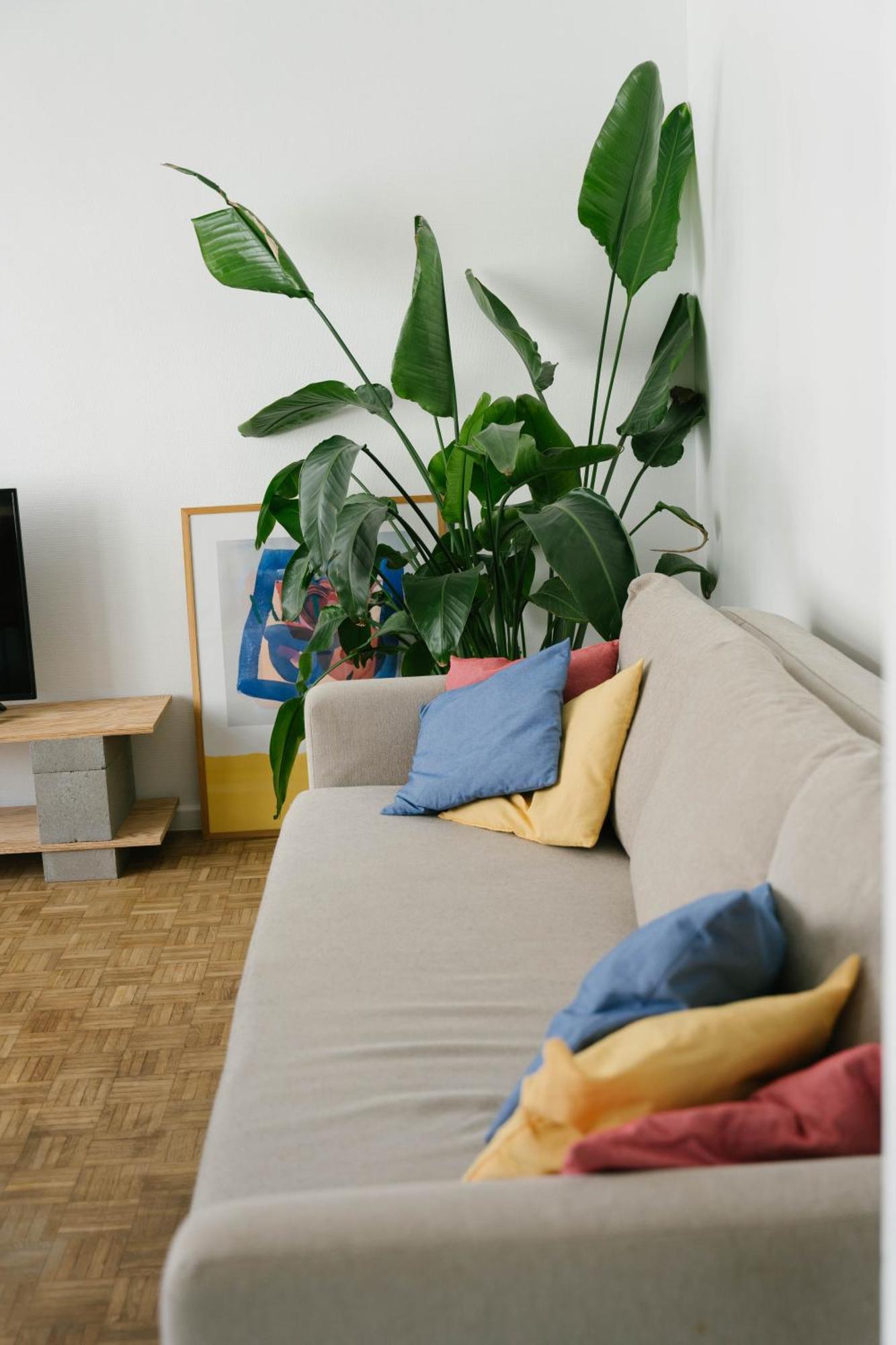 Centrally Located Apartment Close To The Beach Ostende Exteriér fotografie